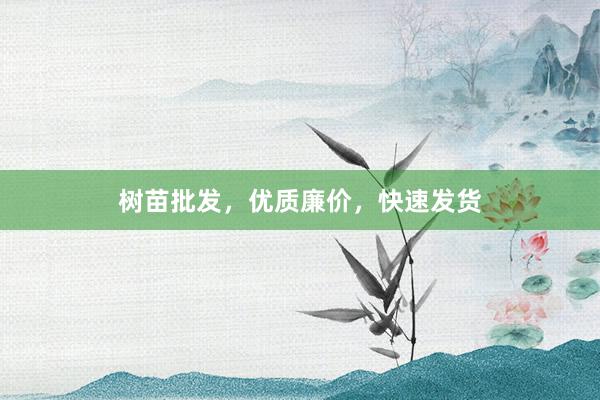 树苗批发,优质廉价,快速发货