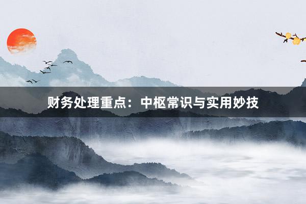 财务处理重点:中枢常识与实用妙技